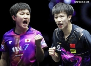 28圈-莎拉波娃遭遇三连败，巴黎圣日耳曼教练面临压力！的简单介绍