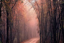 28circle-JackeyLove在中国队比赛中最后时刻胜出，夺冠引发热议！热度持续攀升(英雄联盟jackeylove个人资料)